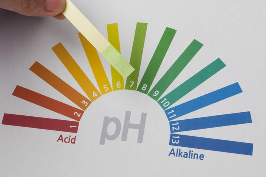 KNOW THE PH OF YOUR SOIL WITH A HOMEMADE AND PRACTICAL METHOD