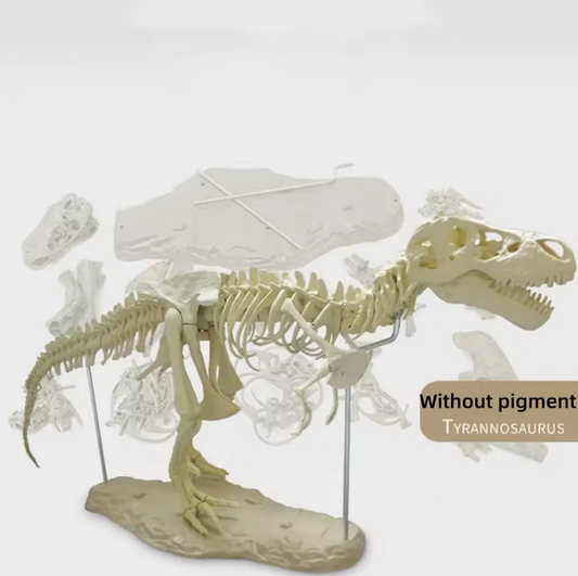 Large DIY Dinosaur Skeleton Toys Ornament Simulation TRex Model