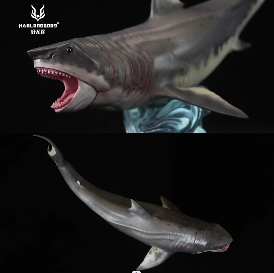 Megalodon Shark With Base Sea Life Toy - DUGO