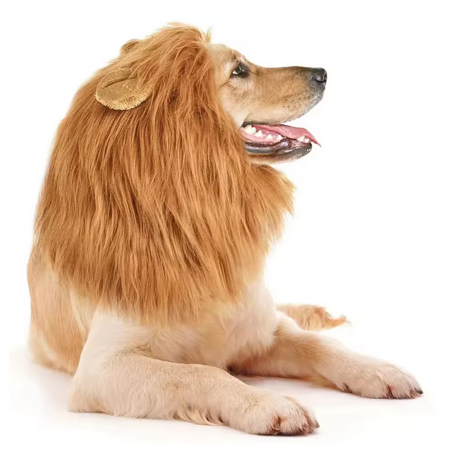 Cute Pet Dog Cosplay Clothes Lion Mane For Dog Costumes