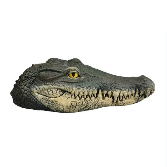 Crocodile Head Animal Exquisite Decoration