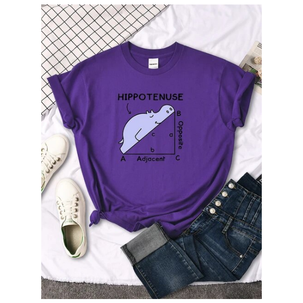 Women Tshirt Hippo Sleeping On Math Problem