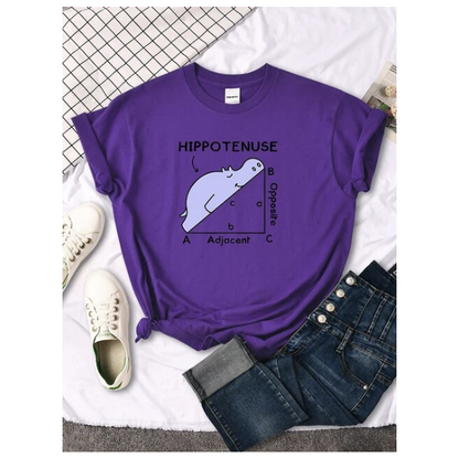 Women Tshirt Hippo Sleeping On Math Problem