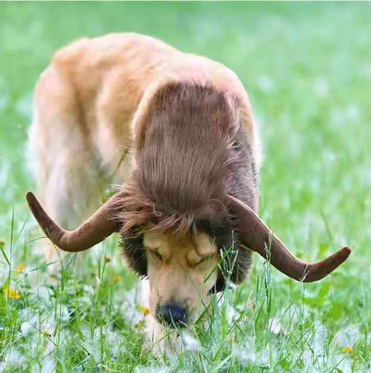 Dog Lion Mane Horns Wig Funny Cosplay Hat For Dogs