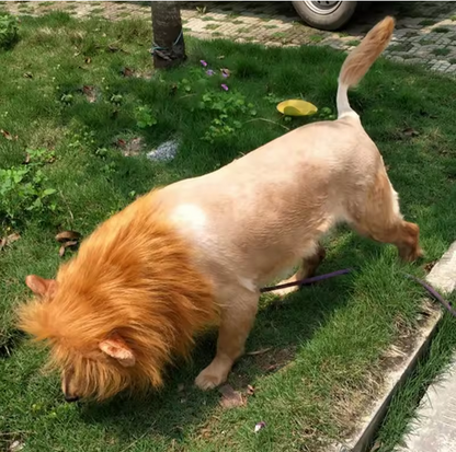 Cute Pet Dog Cosplay Clothes Lion Mane For Dog Costumes