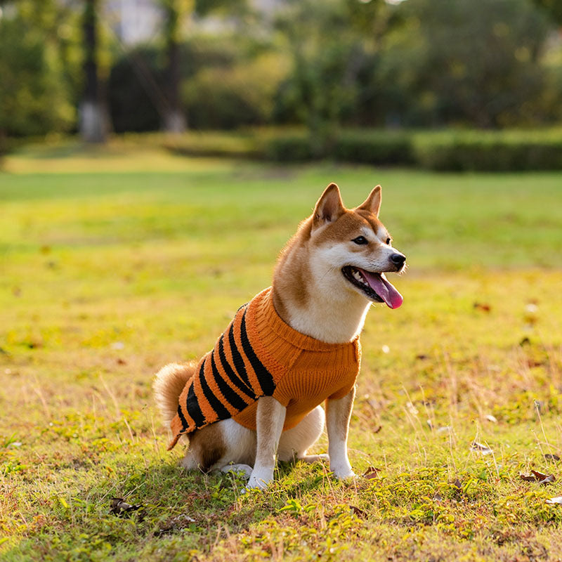 Halloween Dog Sweaters Pet Costume Teddy Warm