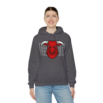 Team Sport Bullhead Hooded Sweatshirt - DUGO