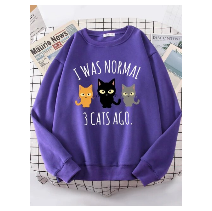 I Was Normal 3 Cats Ago Sweatshirt Sportswear