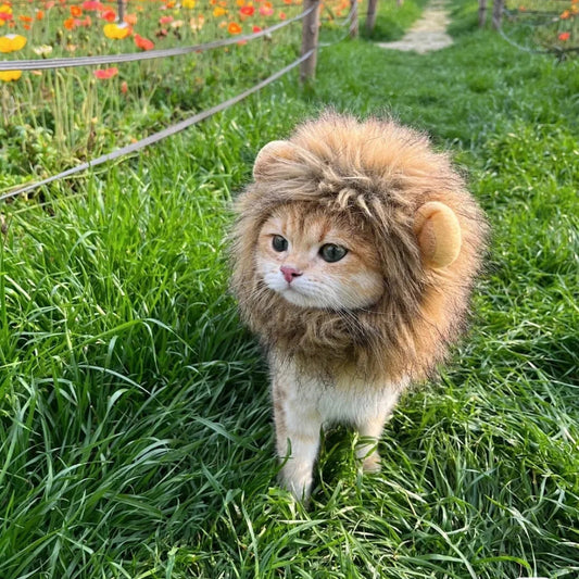 Funny Pet Hat Lion Mane for Dogs Cat Cosplay