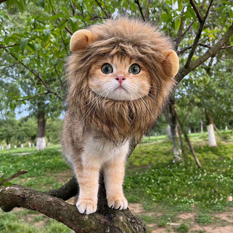 Funny Pet Hat Lion Mane for Dogs Cat Cosplay