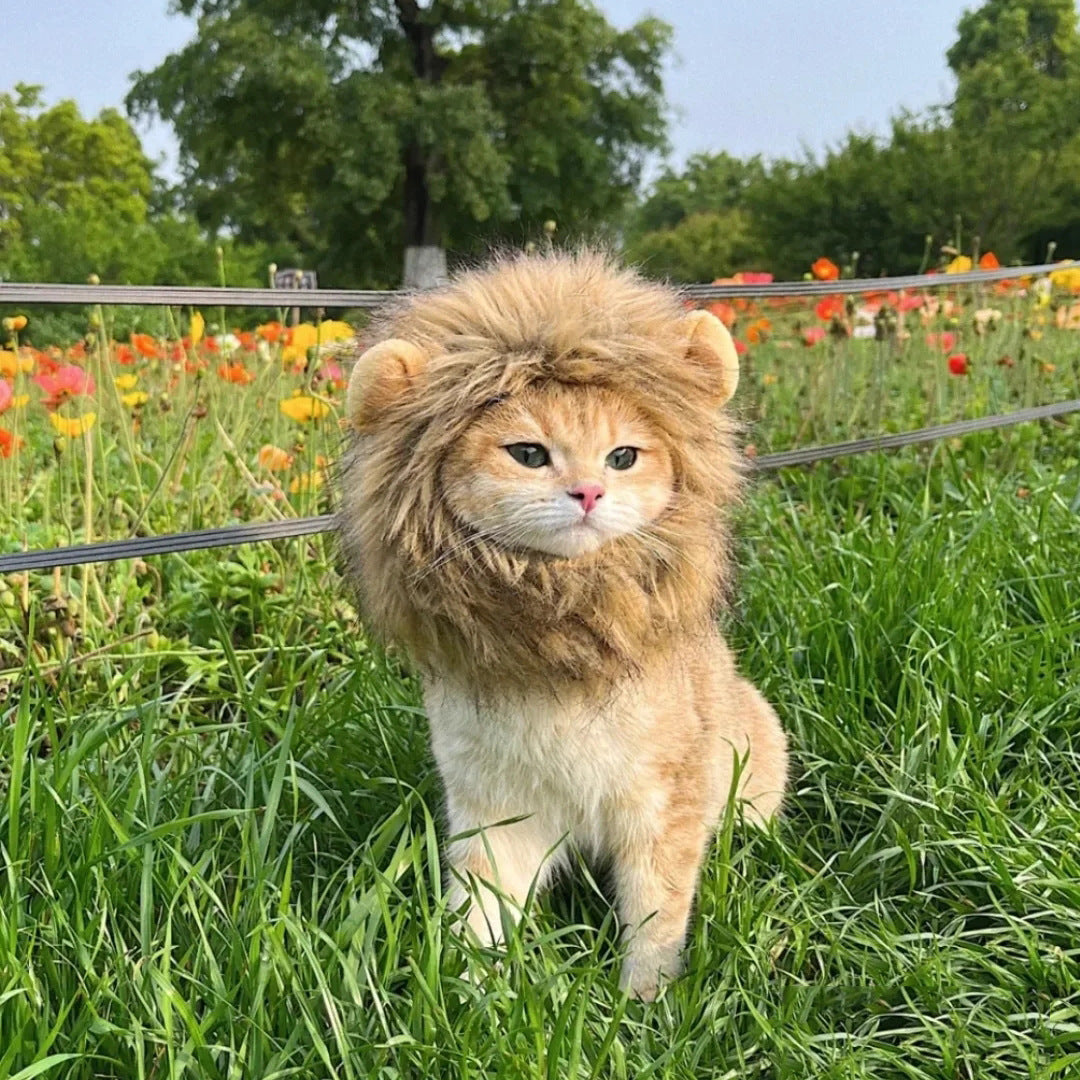 Funny Pet Hat Lion Mane for Dogs Cat Cosplay