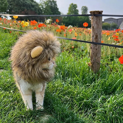 Funny Pet Hat Lion Mane for Dogs Cat Cosplay