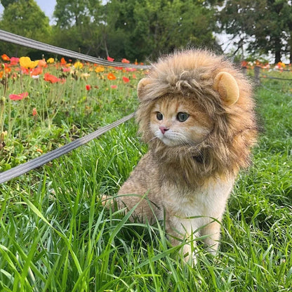 Funny Pet Hat Lion Mane for Dogs Cat Cosplay