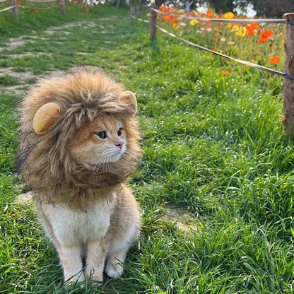 Funny Pet Hat Lion Mane for Dogs Cat Cosplay