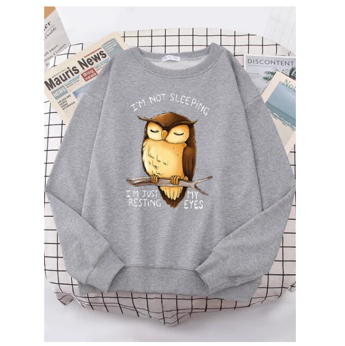 Im Just Resting My Eyes Owl Women Hoodie Fashion Crewneck Sweatshirt