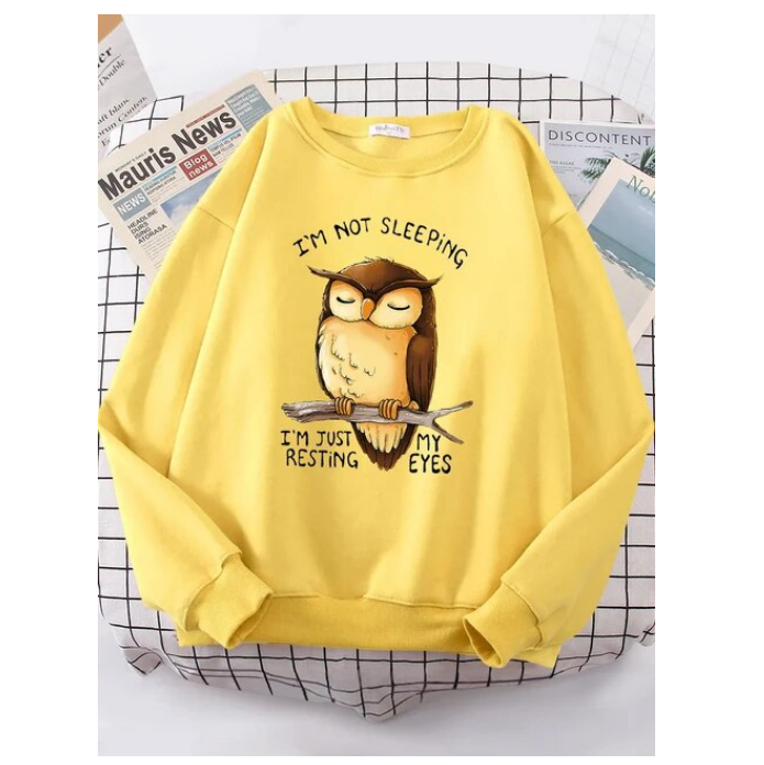 Im Just Resting My Eyes Owl Women Hoodie Fashion Crewneck Sweatshirt