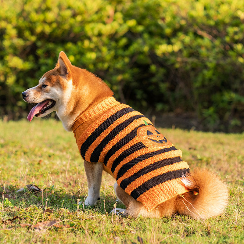 Halloween Dog Sweaters Pet Costume Teddy Warm