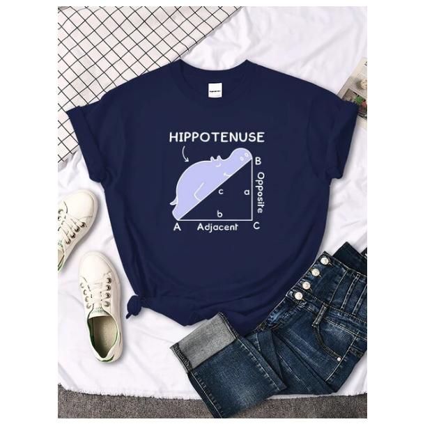 Women Tshirt Hippo Sleeping On Math Problem