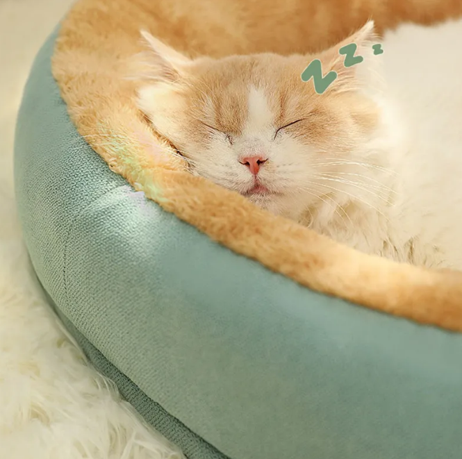 Cat Bed Dog Pet Bed Winter Warm