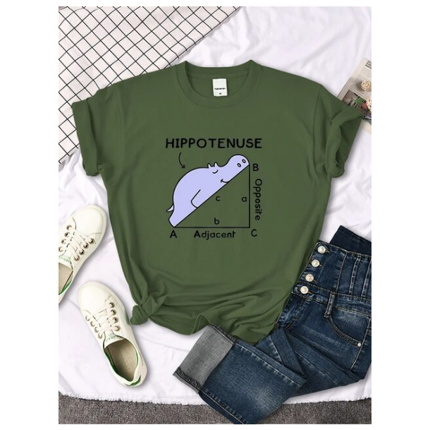 Women Tshirt Hippo Sleeping On Math Problem