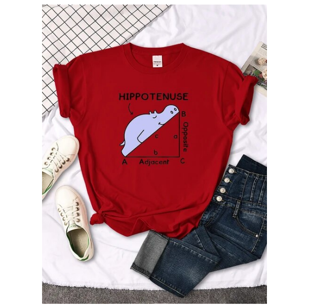 Women Tshirt Hippo Sleeping On Math Problem